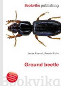 Ground beetle
