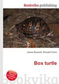 Box turtle