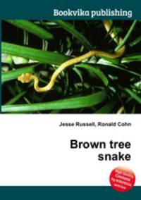 Brown tree snake