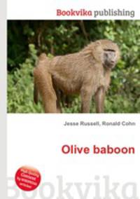 Olive baboon