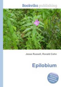 Epilobium