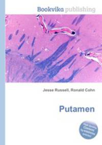 Putamen