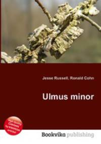 Ulmus minor