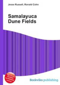 Samalayuca Dune Fields