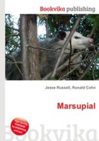 Marsupial