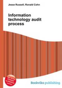 Information technology audit process