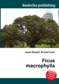 Ficus macrophylla