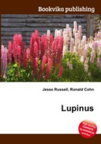 Lupinus