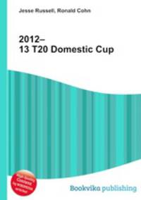 2012–13 T20 Domestic Cup
