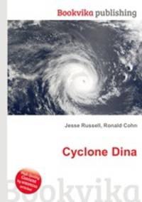 Cyclone Dina
