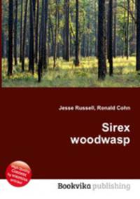 Sirex woodwasp