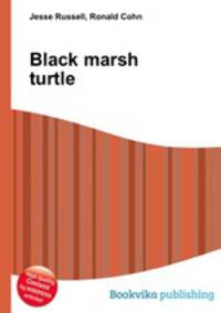 Black marsh turtle