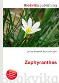 Zephyranthes