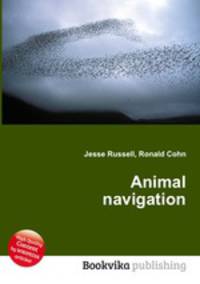 Animal navigation
