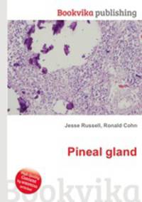 Pineal gland