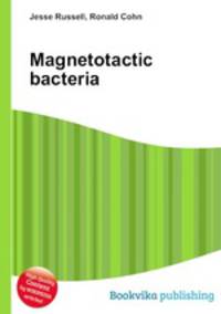Magnetotactic bacteria