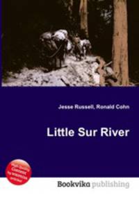 Little Sur River