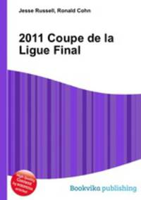 2011 Coupe de la Ligue Final