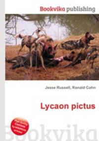 Lycaon pictus