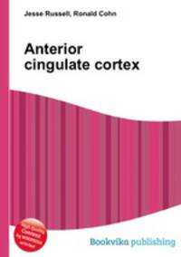 Anterior cingulate cortex