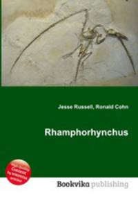 Rhamphorhynchus