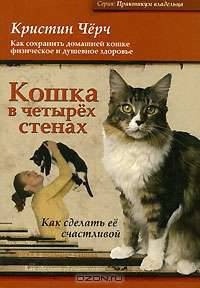 Кошка в четырех стенах. Как сделать ее счастливой