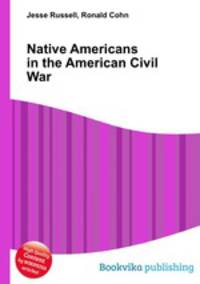 Native Americans in the American Civil War