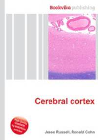 Cerebral cortex
