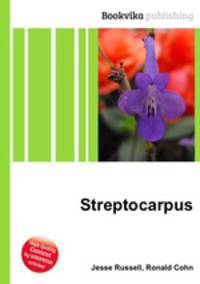 Streptocarpus