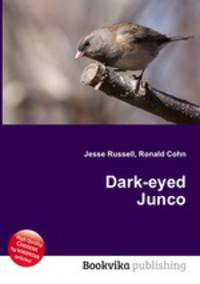 Dark-eyed Junco