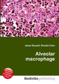 Alveolar macrophage