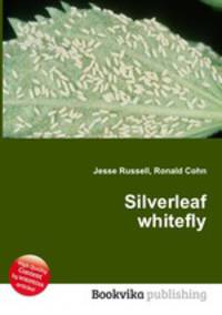Silverleaf whitefly