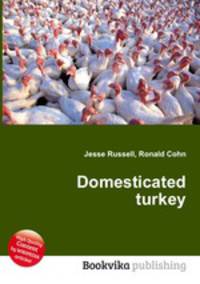Domesticated turkey