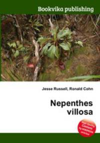 Nepenthes villosa