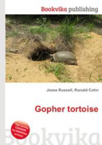 Gopher tortoise