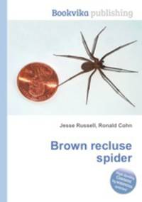 Brown recluse spider