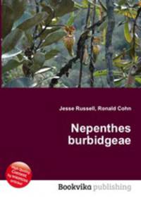 Nepenthes burbidgeae
