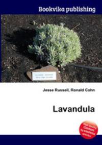 Lavandula