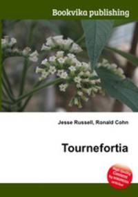 Tournefortia