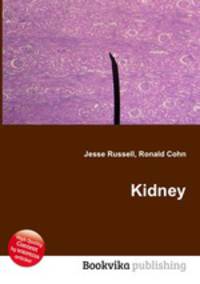Kidney