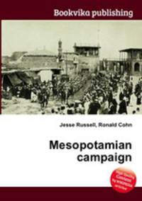 Mesopotamian campaign