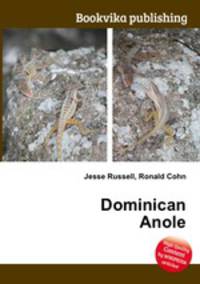 Dominican Anole