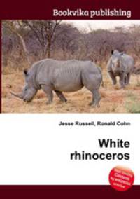 White rhinoceros