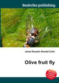 Olive fruit fly