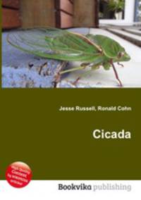 Cicada