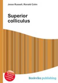 Superior colliculus