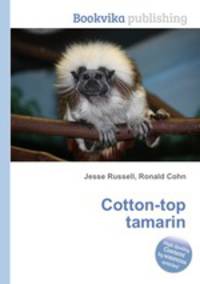 Cotton-top tamarin