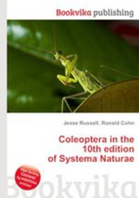 Coleoptera in the 10th edition of Systema Naturae