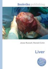 Liver