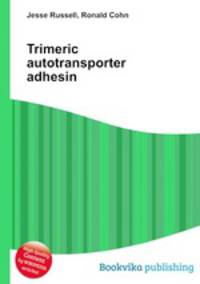 Trimeric autotransporter adhesin